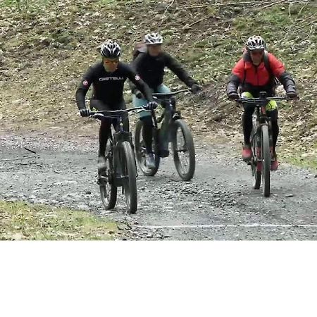 Le Cocon Du Catogne Proche Martigny Verbier - Netflix - Valettes Exteriör bild