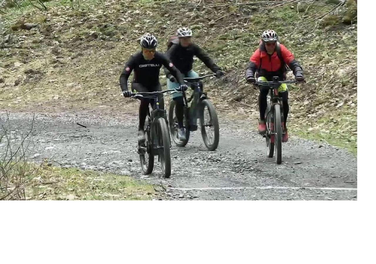 Le Cocon Du Catogne Proche Martigny Verbier - Netflix - Valettes Exteriör bild