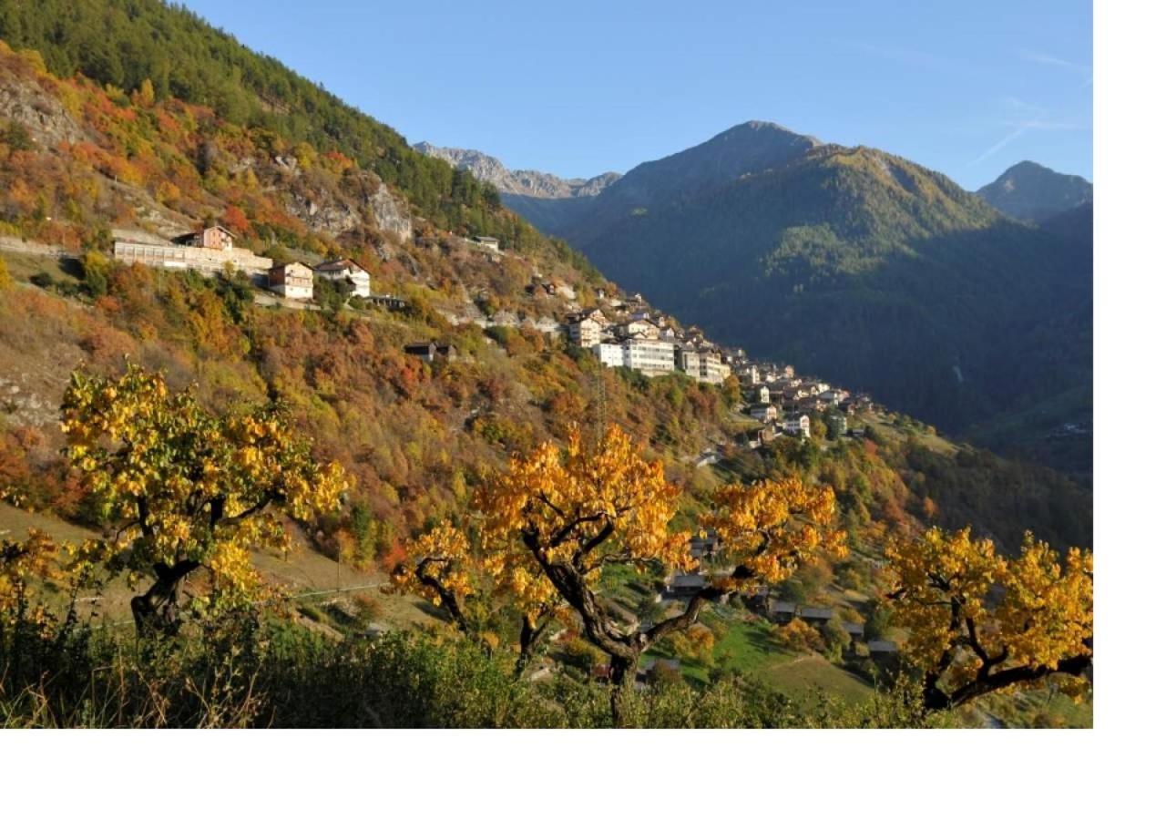 Le Cocon Du Catogne Proche Martigny Verbier - Netflix - Valettes Exteriör bild
