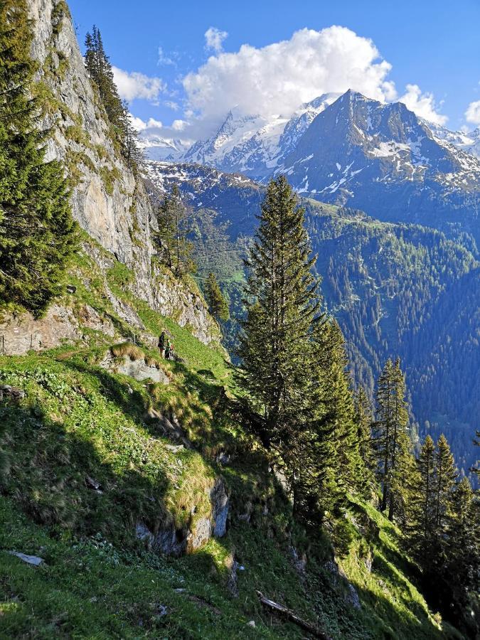 Le Cocon Du Catogne Proche Martigny Verbier - Netflix - Valettes Exteriör bild