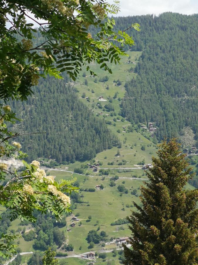 Le Cocon Du Catogne Proche Martigny Verbier - Netflix - Valettes Exteriör bild